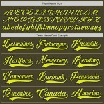 Custom Olive Neon Yellow-Black Salute To Service Hockey Lace Neck Jersey